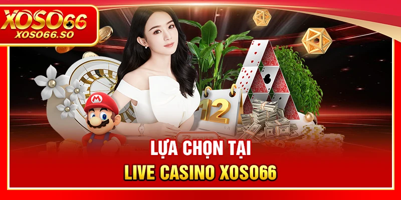 Lý do người chơi chọn XOSO66 làm điểm đến giải trí